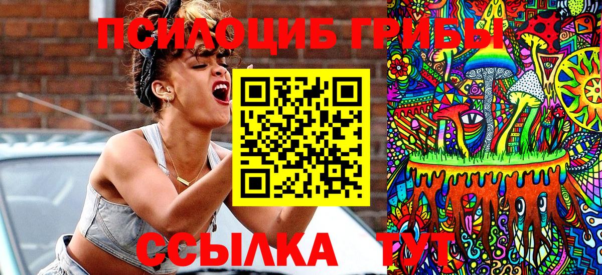 Псилоцибиновые грибы мицелий Кольчугино